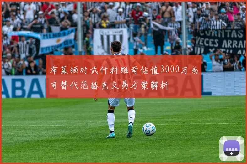 布莱顿对武什科维奇估值3000万或可替代范赫克交易方案解析